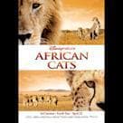 非洲野貓電影劇照1