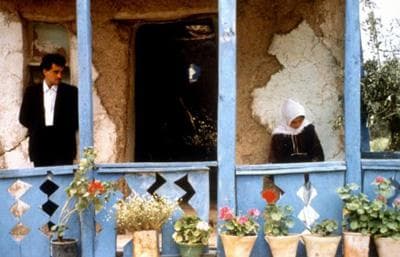 橄欖樹的情人電影劇照1