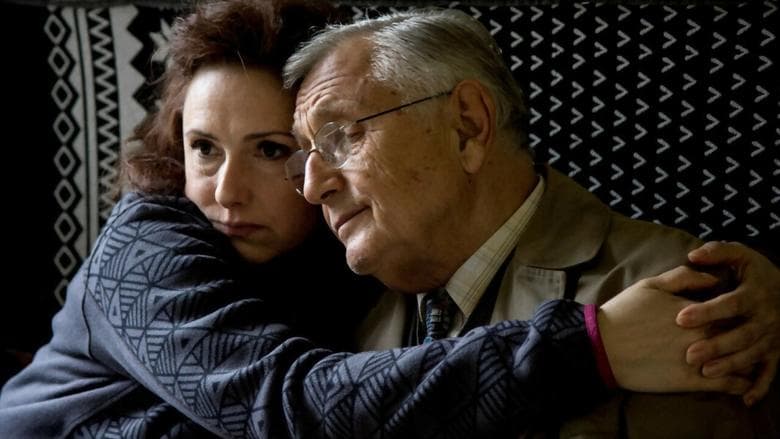 Tlmočník電影劇照1