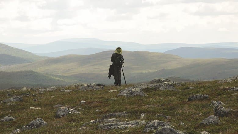 Kesäni sudenkorentona電影劇照1