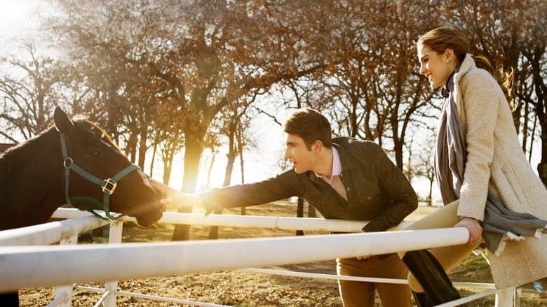 Christmas in the Heartland電影劇照1