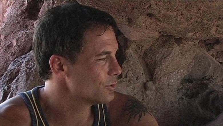 Phoenix電影劇照1