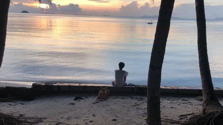 หนังหลังความตาย電影劇照1