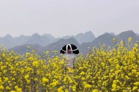 尋蹤 (巴塞爾藝術展短片放映)電影劇照1