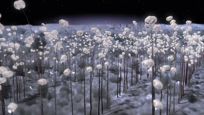 神奇生物宇宙 (M+ Cinema Programmes)電影劇照1