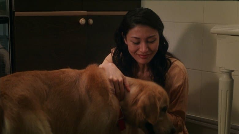 完美情人電影劇照1