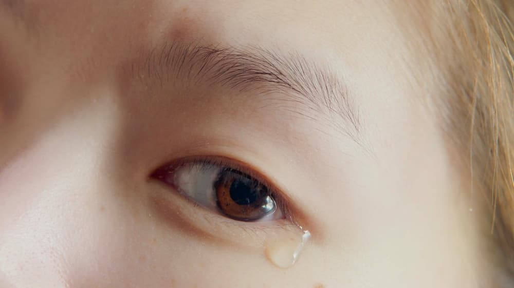 都拉博森乍倫：我腦裏的是你嗎？(M+ Cinema Programmes)電影劇照1