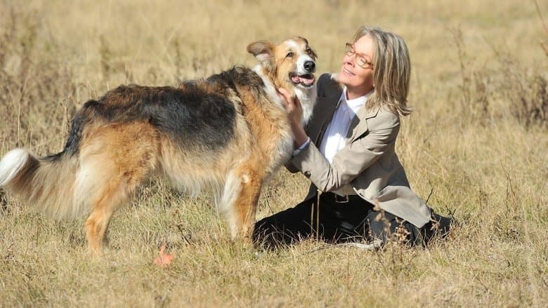 Darling Companion電影劇照1