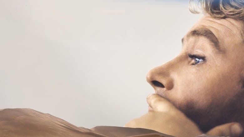 Peter O'Toole: Along the Sky Road to Aqaba電影劇照1