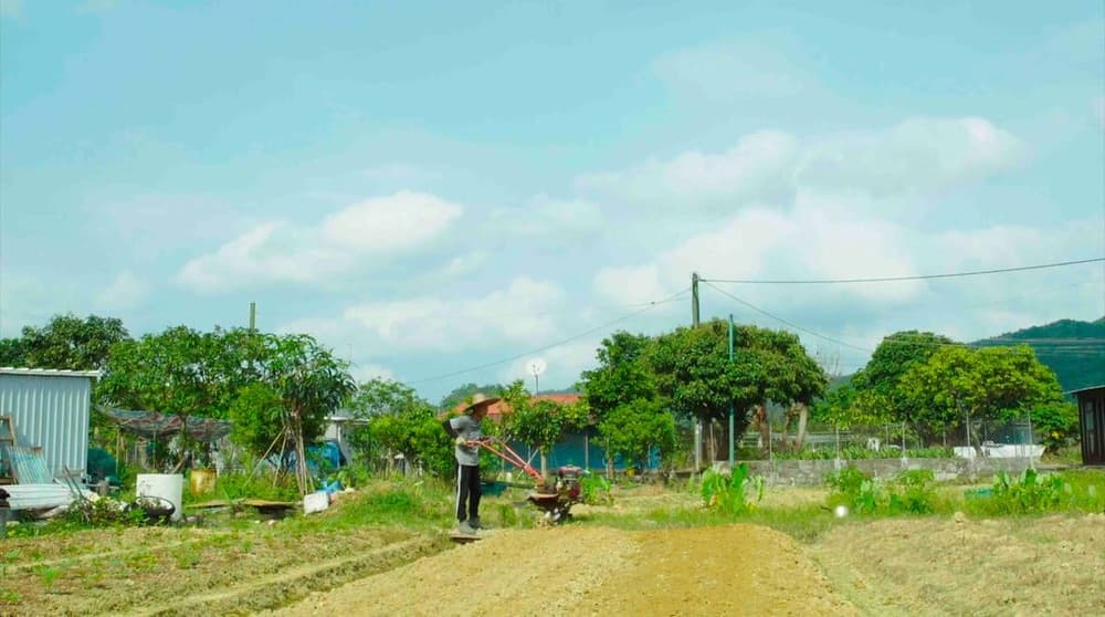 農與地、漁民與大海 (M+ Cinema Programmes)電影劇照1