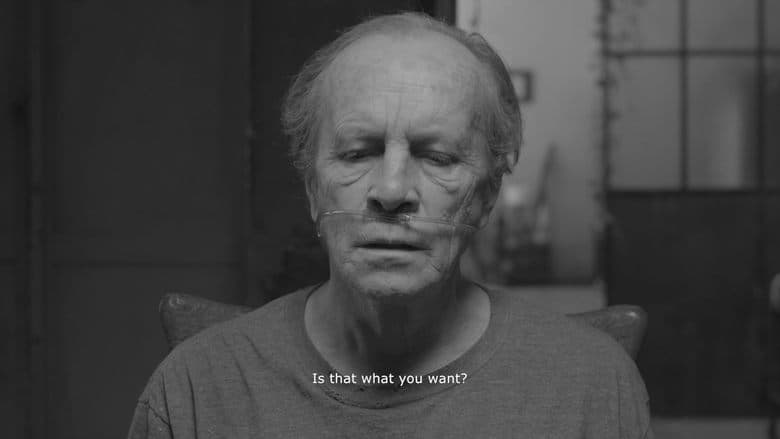 Nocturno電影劇照1