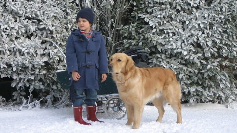 After Thomas電影劇照1