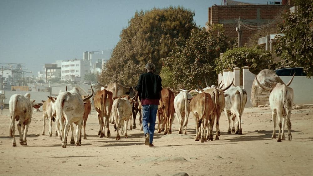 千個太陽&見鬼吧 (M+ Cinema Programmes)電影劇照1