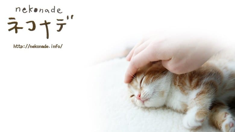 ネコナデ電影劇照1