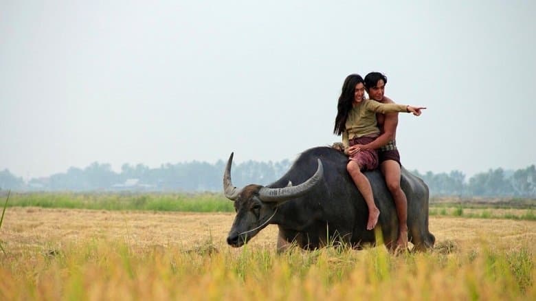 แผลเก่า電影劇照1