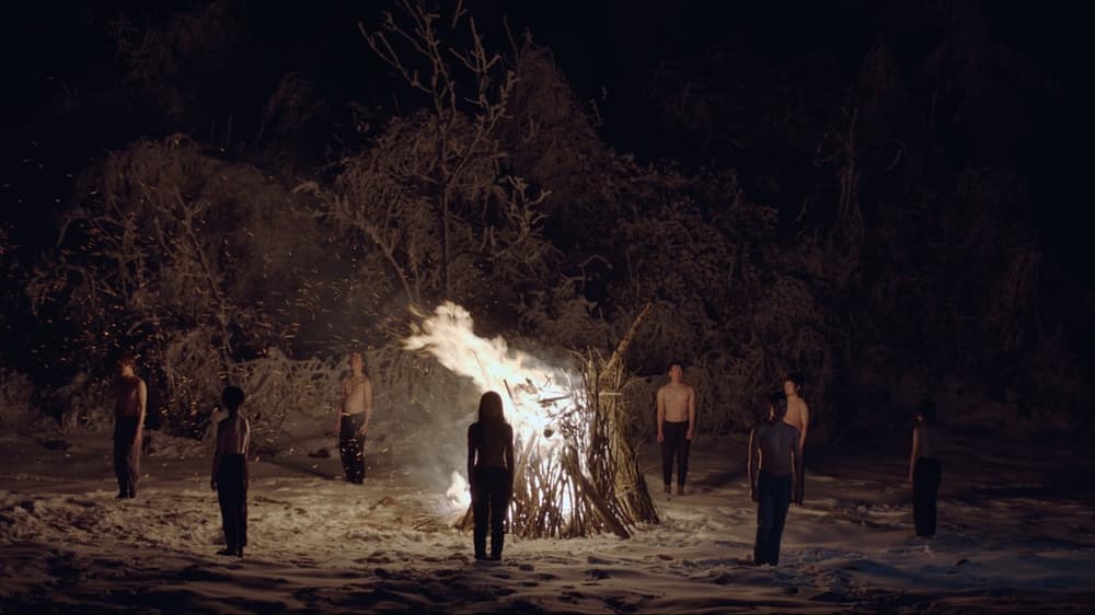 藝術家在場 (巴塞爾藝術展短片放映)電影劇照1