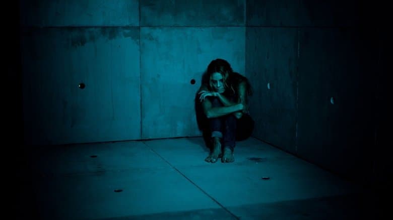 True Love電影劇照1