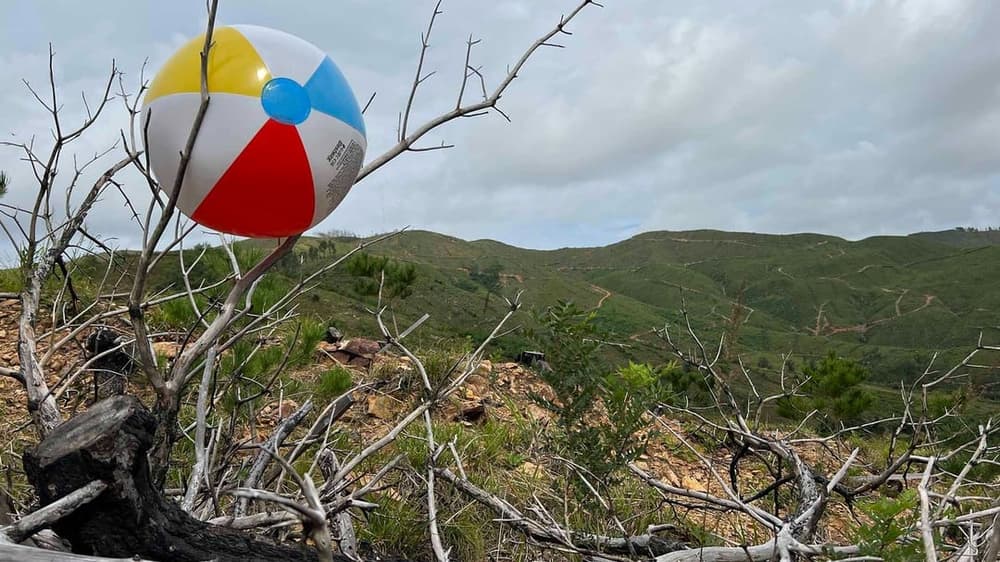 萬象的訊號 (M+ Programme)電影劇照1