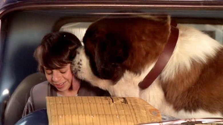 無敵當家之超級狗明星電影劇照1