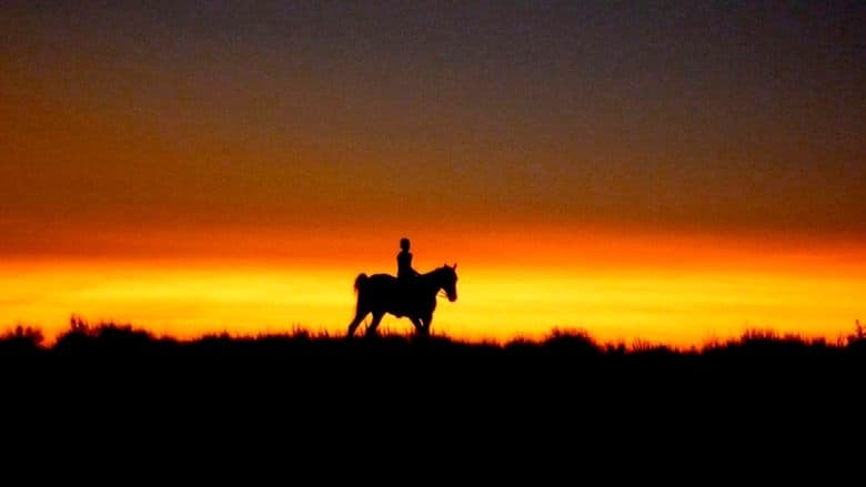 Reel Injun電影劇照1