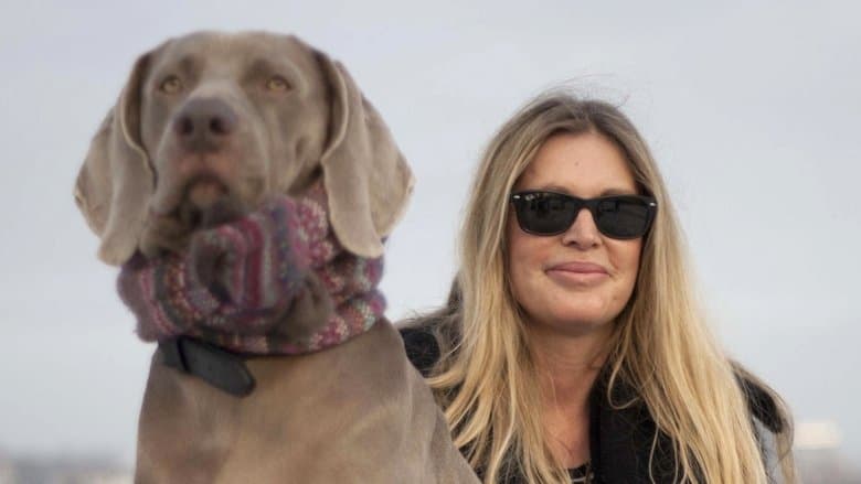 Walking with Dogs: A Wonderland Special電影劇照1