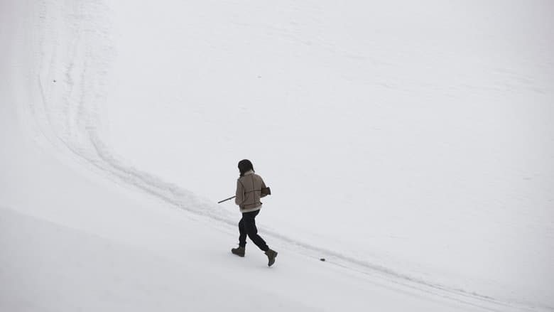 Seule : Les dossiers Silvercloud電影劇照1