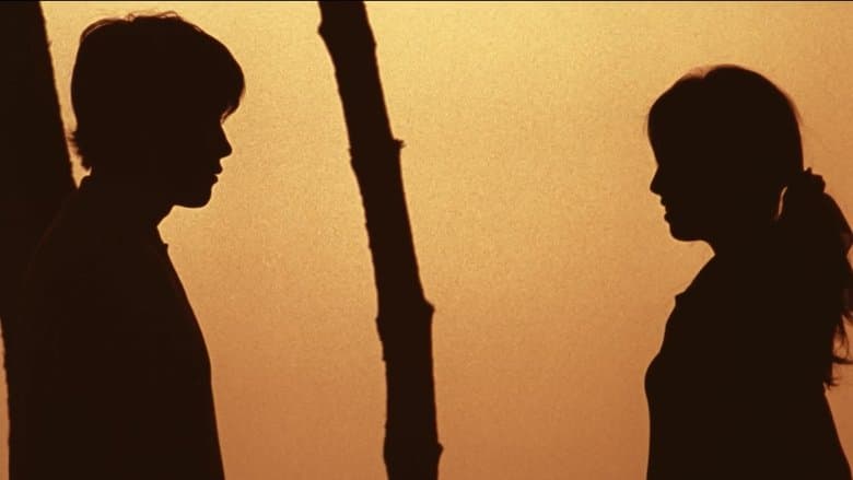 情約笨豬跳電影劇照1