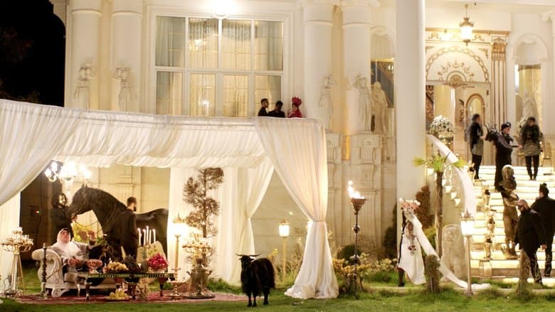 豬一般的導演電影劇照1