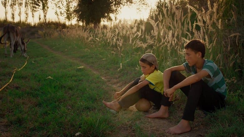 第一次的離別電影劇照1