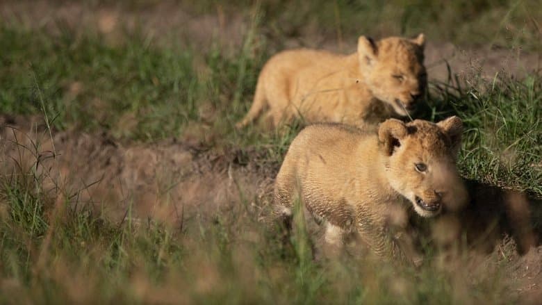 動物新世代電影劇照1