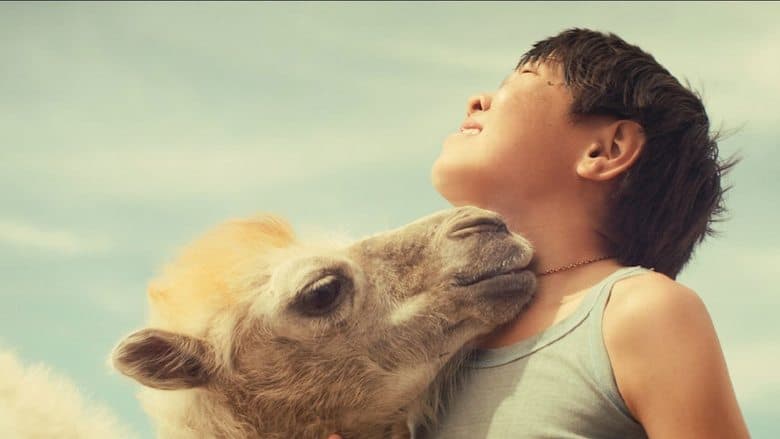 Небесный верблюд電影劇照1