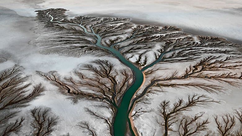 Watermark電影劇照1