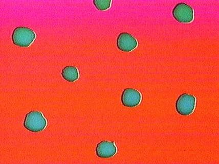 銀幕圖案 (M+ Cinema Programmes)電影劇照1