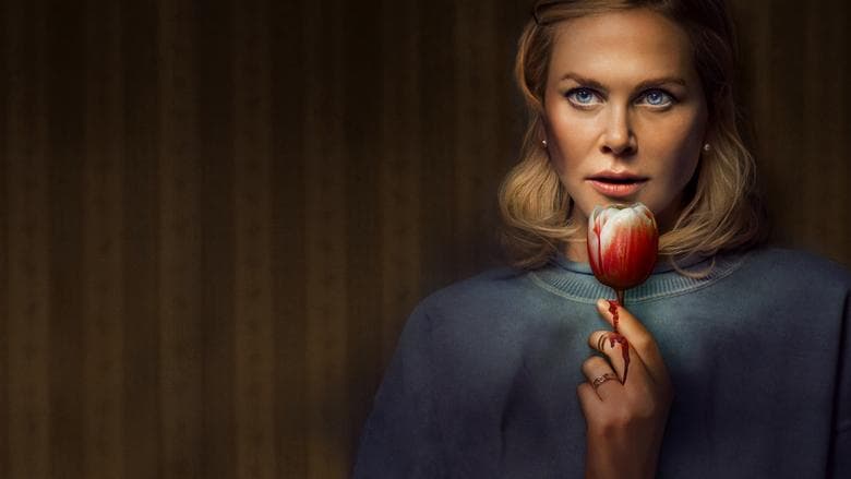 荷蘭鎮電影劇照1