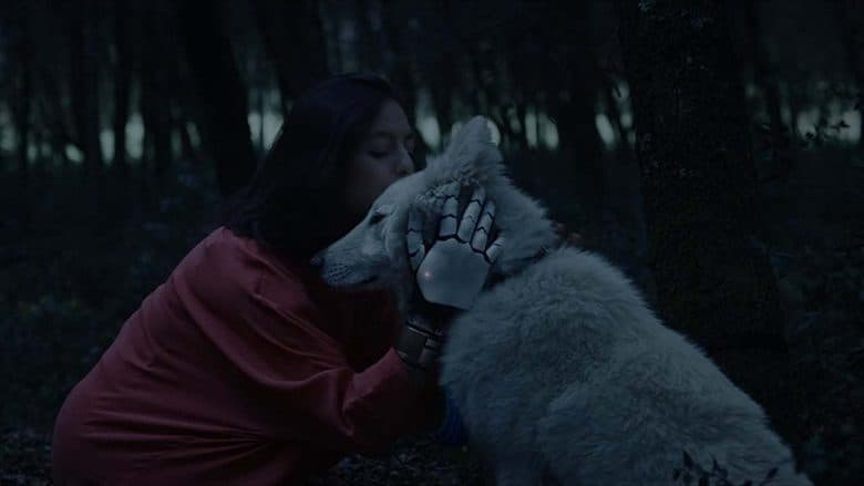 Black Hollow Cage電影劇照1