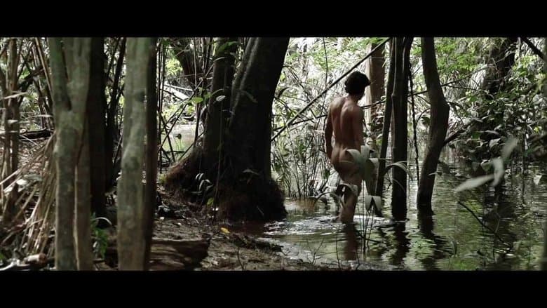 A Floresta de Jonathas電影劇照1