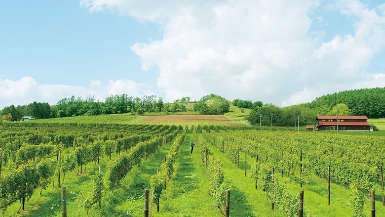 萄醉北海道電影劇照1