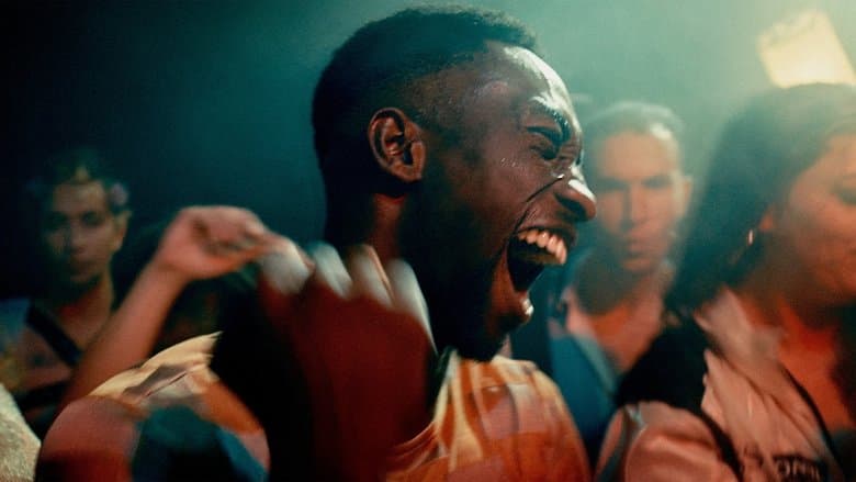 咪逐我出境!(GFF 2022)電影劇照1