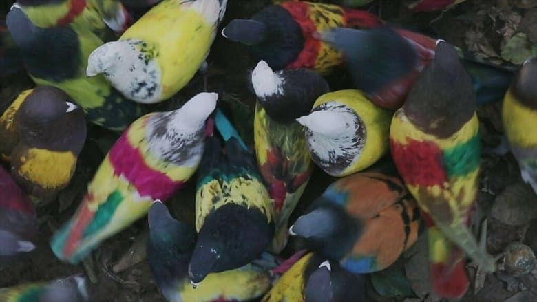 Los que desean電影劇照1