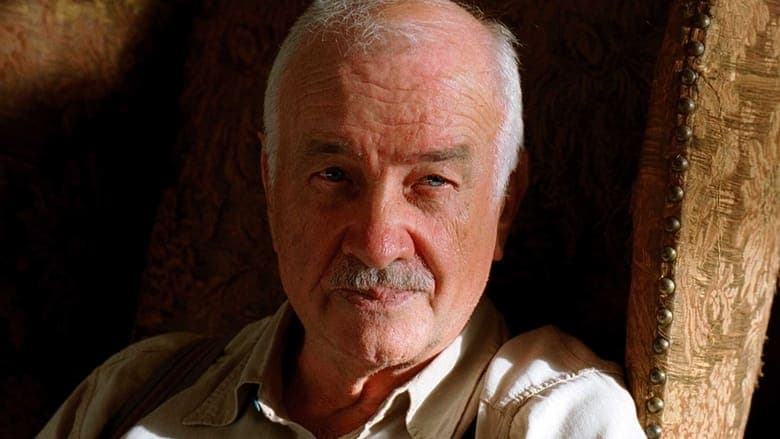 Local Color電影劇照1