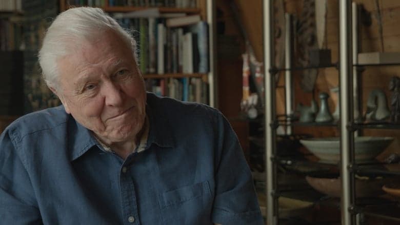 Zoo Quest in Colour電影劇照1