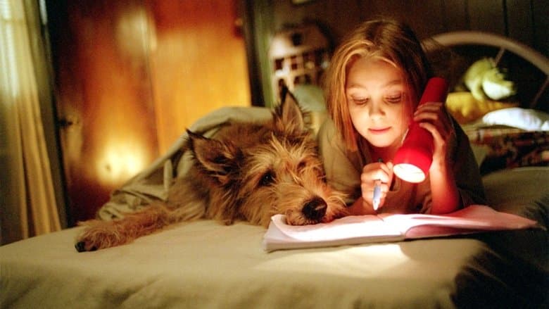 Because of Winn-Dixie電影劇照1