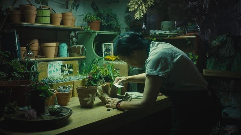 In Full Bloom電影劇照1