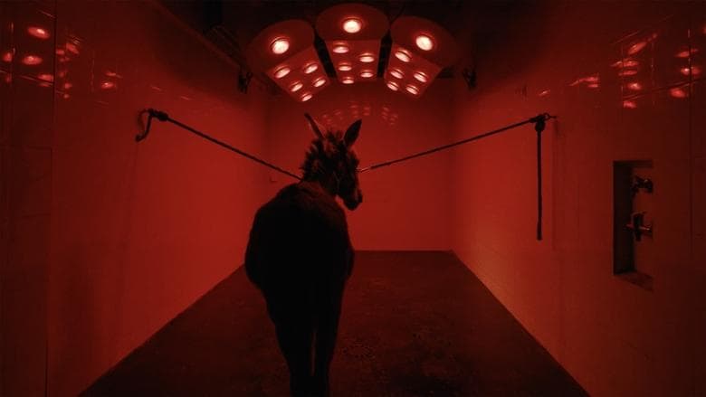 驢子伊艾奧(HKIFF 46)電影劇照1