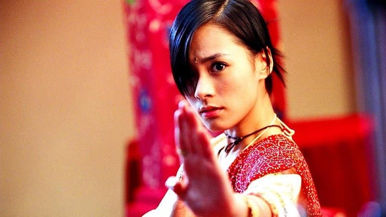 精武家庭電影劇照1