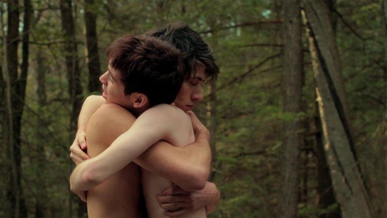 The Ducks' Migration電影劇照1