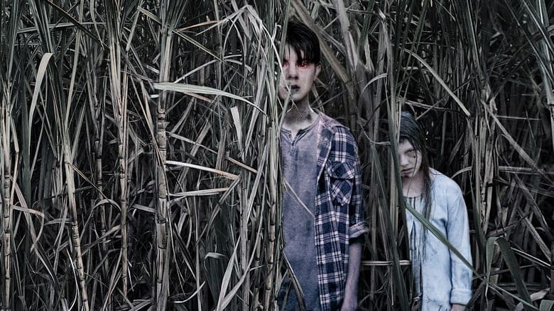 Sweet River電影劇照1