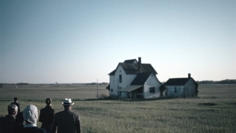 (FoYCAE)奔跑的亞軍電影劇照1