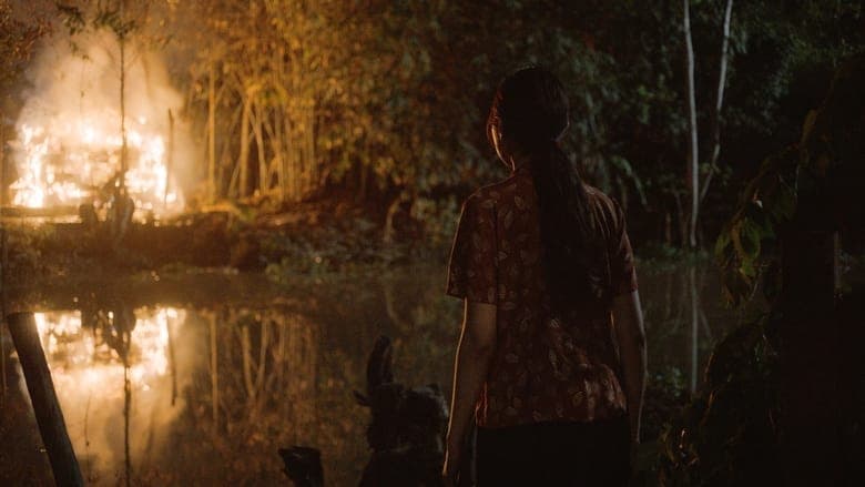 Tro tàn rực rỡ電影劇照1