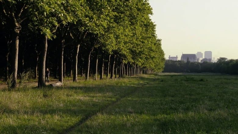 Le bois dont les rêves sont faits電影劇照1